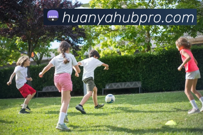 环亚体育APP 封面图